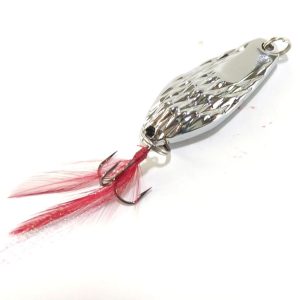 قاشقک 10 گرمی موستاد2