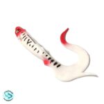 طعمه ماهیگیری 15سانت okasia-color5 - Image 3